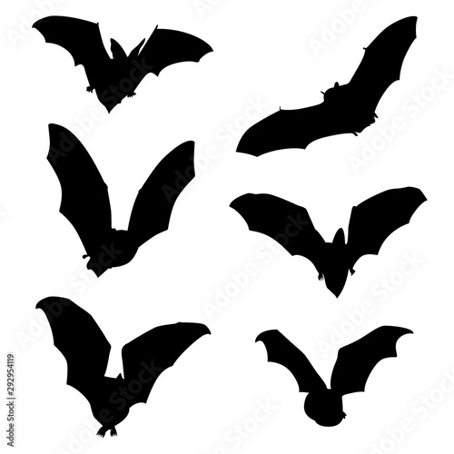 Lot de 6 motifs noirs de chauve-souris pour Halloween