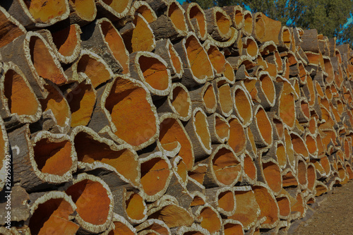 cork, cork tree bark stacked for processing