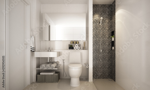 Obraz na plátne The inteior design idea of minimal bathroom and pattern wall background