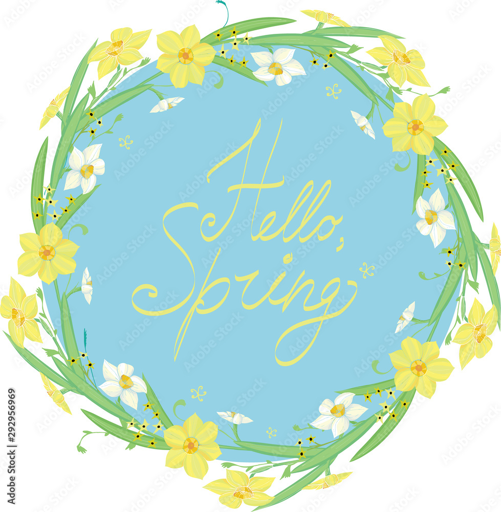 Isolated on white vector floral tangle of narcissus with hand written message Hello Spring