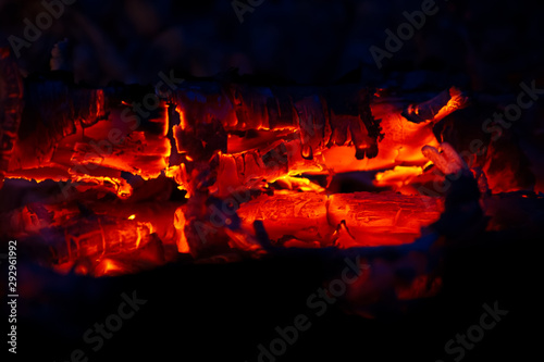 Fire with tongues of fire. Burning wood..