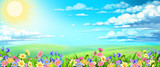 background with field, flowers and sky