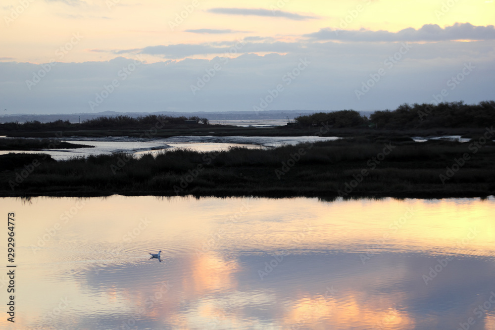 Fototapeta premium Paysages Bassin d'Arcachon