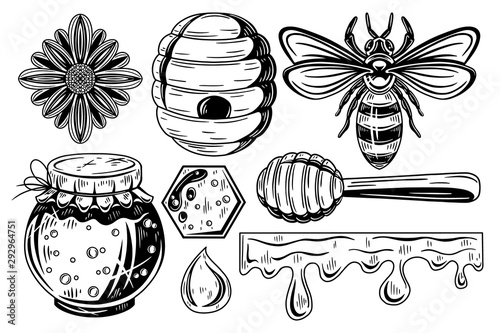 Vintage honey elements collection.