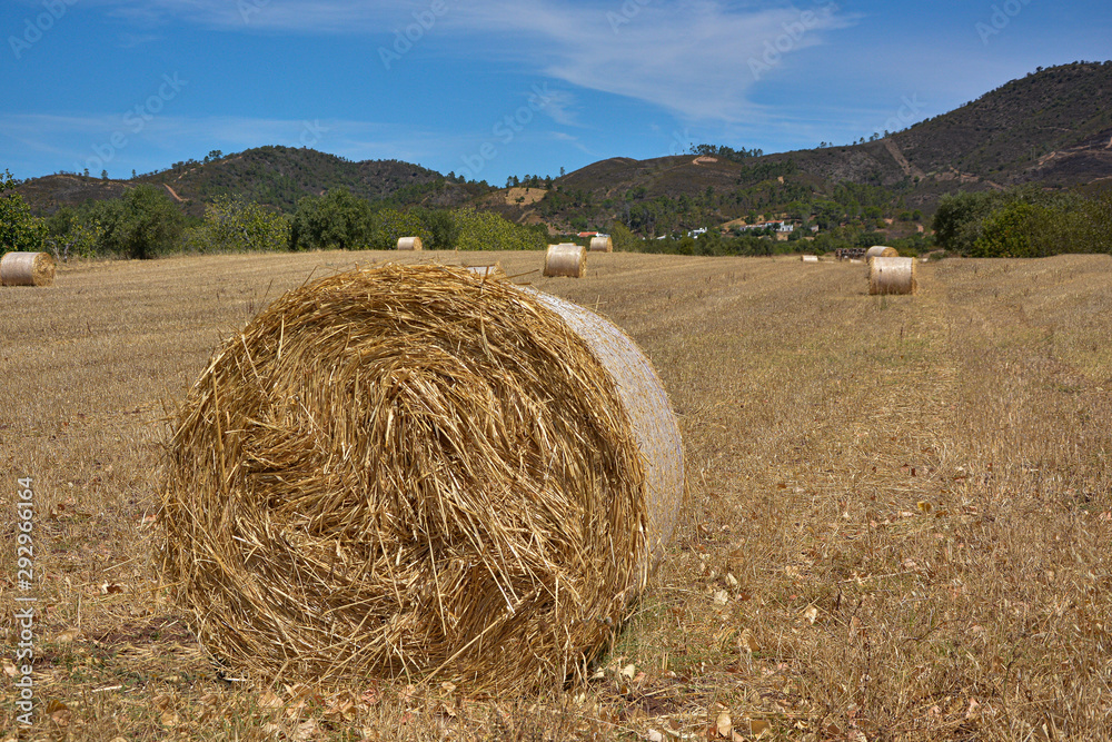 cattle food, straw or hay rolls with copy-space bottom