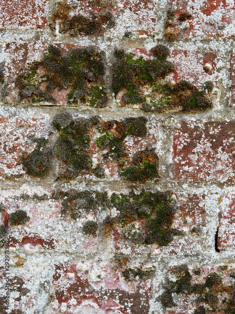 Fototapeta premium Very old brick wall Bungay Suffolk