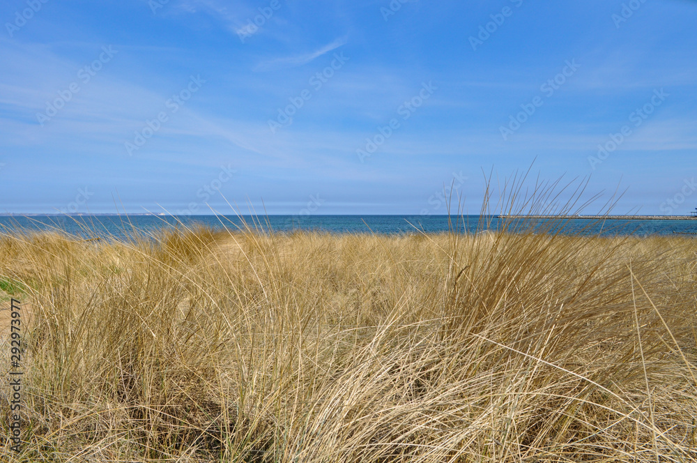 Düne, Strand in Glowe auf Rügen