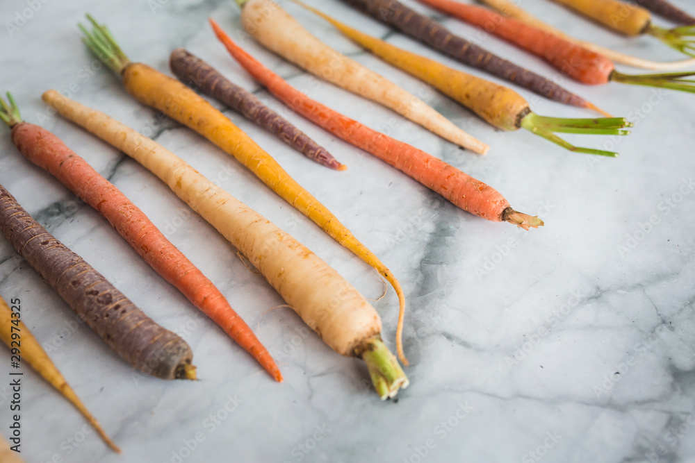 Rainbow Colored Carrots with Tops