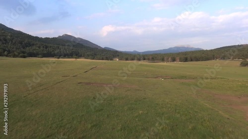 Wallpaper Mural prairie, lowland in french riviera thorenc Torontodigital.ca