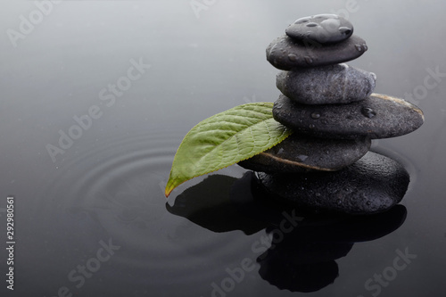 Canvas Print Zen stones in balanced pile and green leaf with water drops in water