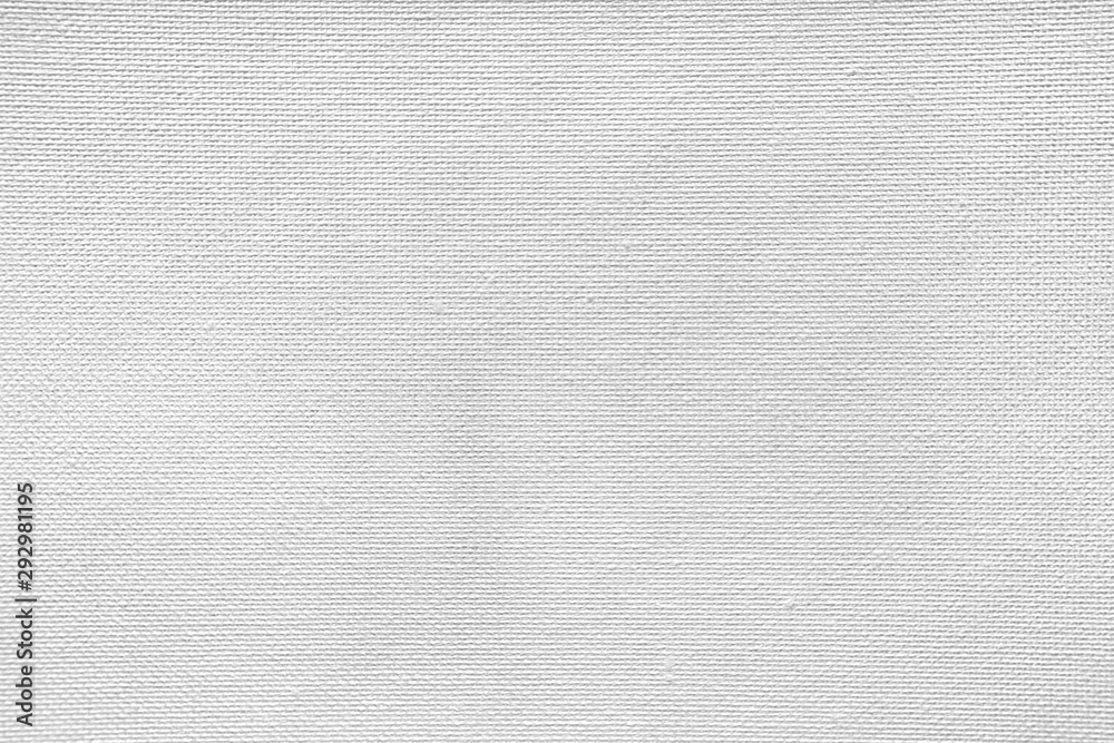 White paper texture White paper texture