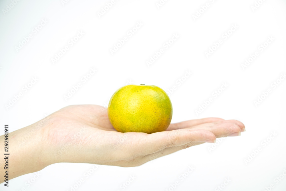 Close up Citrus in hand on white isolated background Close up Citrus in hand on white isolated background
