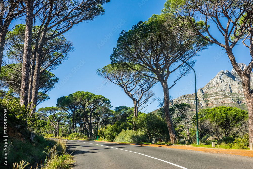 Scenic tarred road in the Table Mountain national park near Cape of Good Hope in South Africa