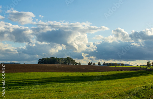 green field and blue sky