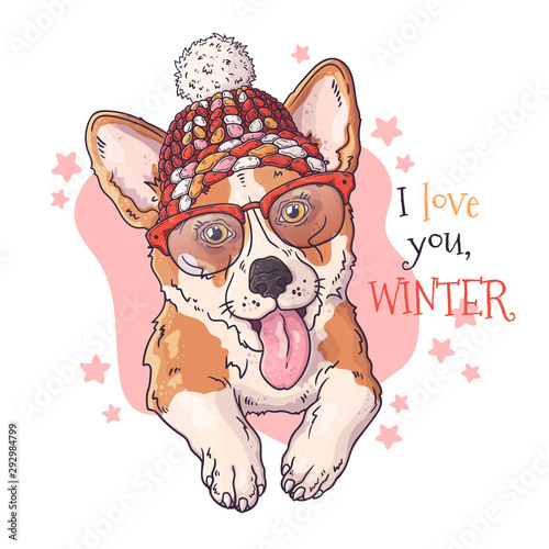 Hand drawn portrait of corgi dog in Christmas accessories Vector.