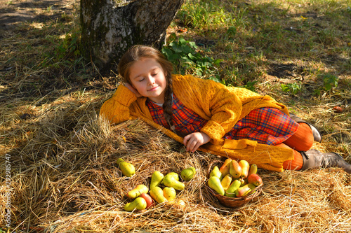 Child picking pears on farm in autumn. Little girl playing in pears tree orchard. Healthy nutrition. Harvest Concept. pears picking.