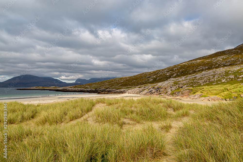 Marram grass at Luskentyre beach on the Hebridean island of Harris