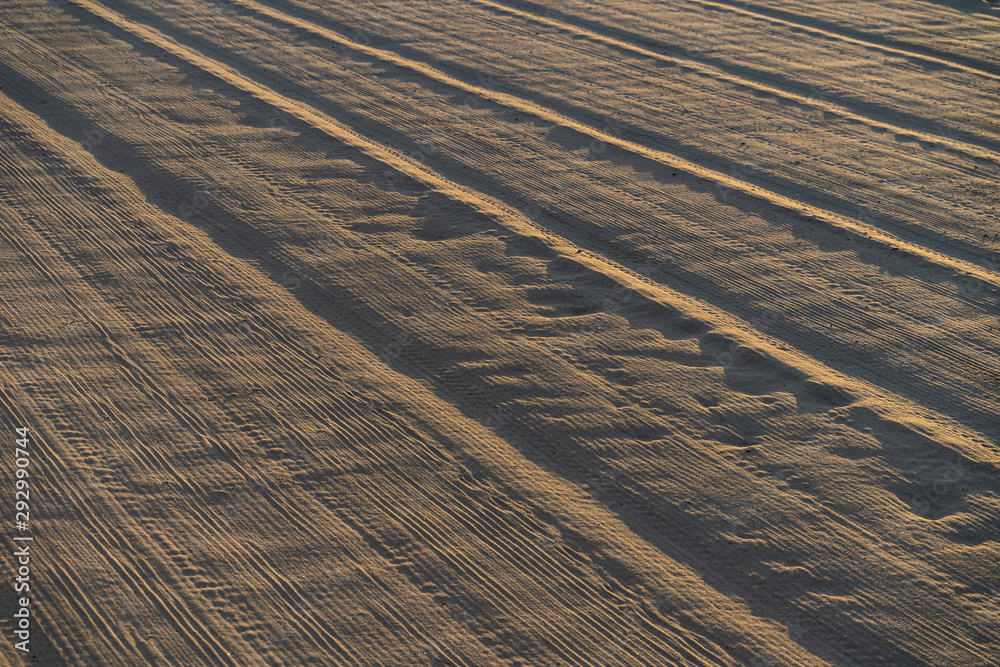 Fototapeta premium Beach Lines