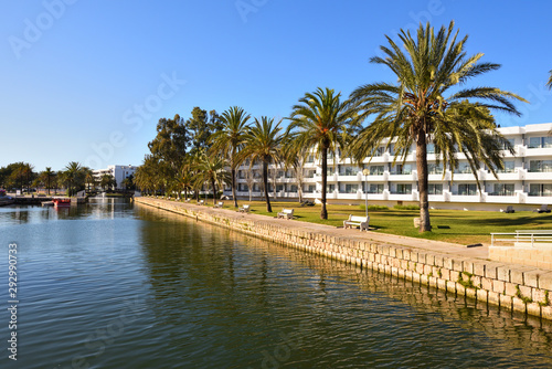 Palm trees growing along a canal in the city of Alcudia on Mallorca