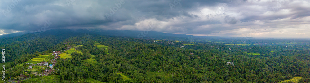 Panorama of the green fields on West side of  Bali island, Indonesia. Aerial