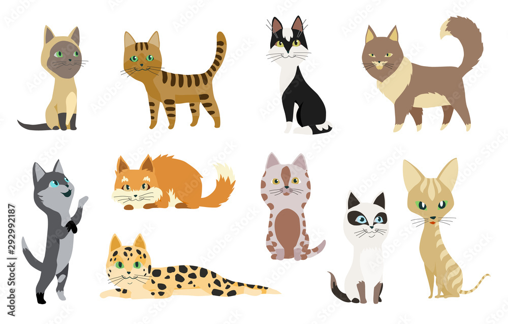 Set of cute cartoon kitties or cats with different colored fur and markings standing sitting or walking vector illustrations. Set of cute cartoon kitties or cats with different colored fur and markings standing sitting or walking vector illustrations.