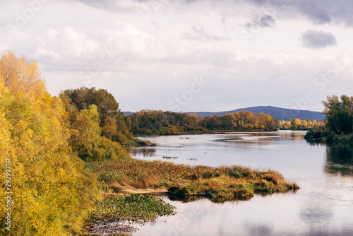 Autumn landscape of beautiful colorful trees, a river against the backdrop of an autumn forest.