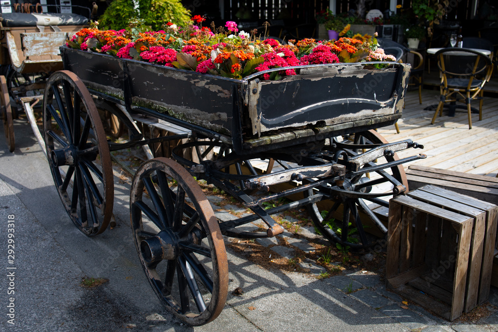 old cart with flowers,  Bornholm, Dueodde