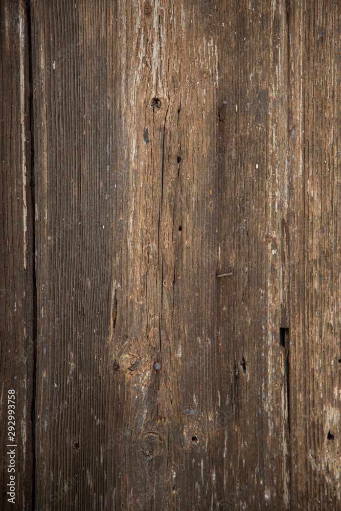 wood door texture wood door texture