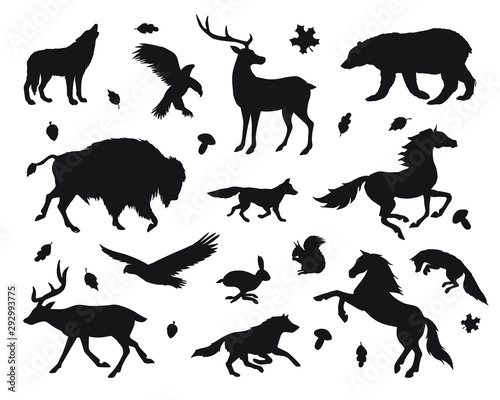 Vector black set bundle of wild American animals silhouette isolated on white background