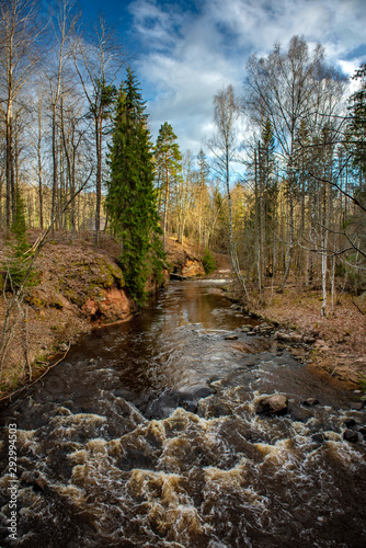 Amata river and forest in late autumn. (Gauja National Park, Latvia) Latvia.