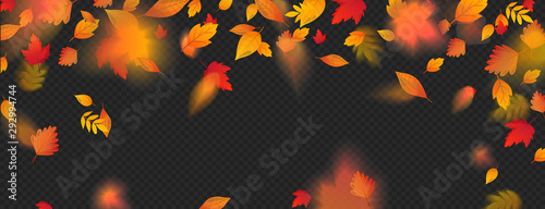 Orange fall colorful leaves flying falling effect.