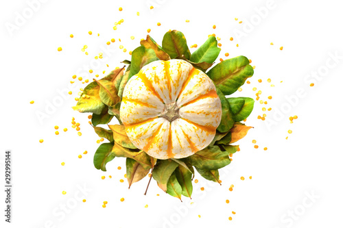 Traditional seasonal orange pumpkin flat lay composition isolated on a white background.