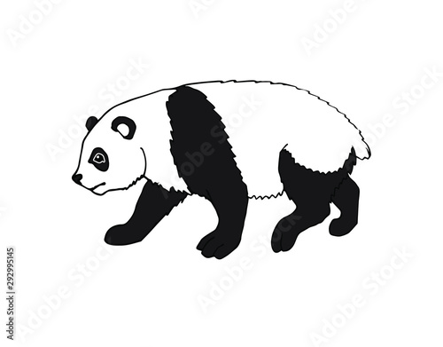 Vector black hand drawn sketch doodle panda isolated on white background