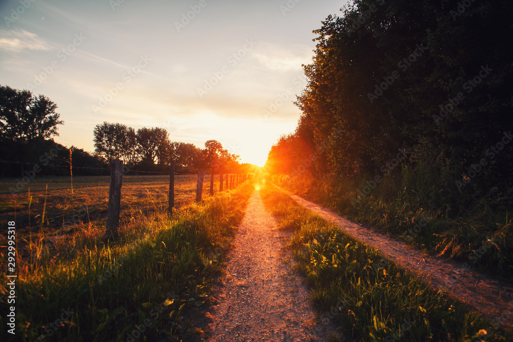Obraz premium feldweg
