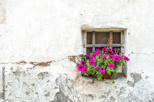 Photography Exterior of a very old village house with decrepit white paint and fresh flowers