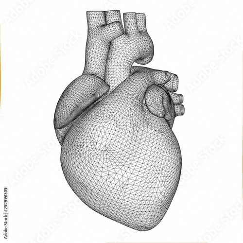 Polygonal human heart in low poly polygon style. Wireframe concept. 3d illustration