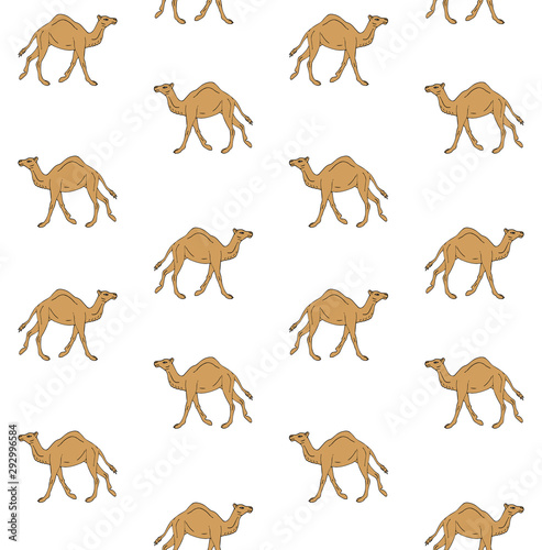Vector seamless pattern of hand drawn sketch dromedary one humped camel isolated on white background