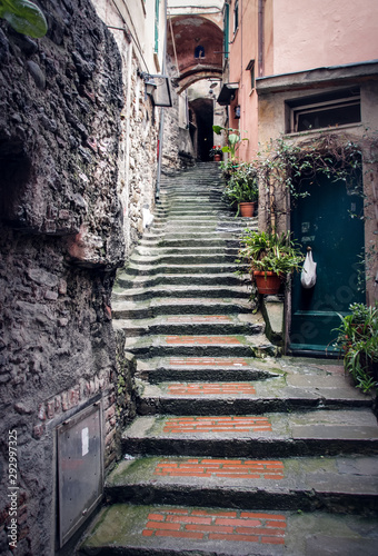 Fototapeta Naklejka Na Ścianę i Meble -  Paysage des Cinque Terre en Italie