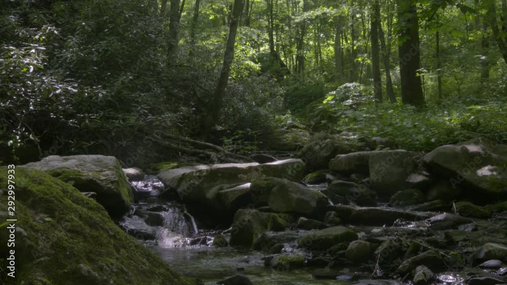 A mountain stream in the blue ridge mountains. A mountain stream in the blue ridge mountains.