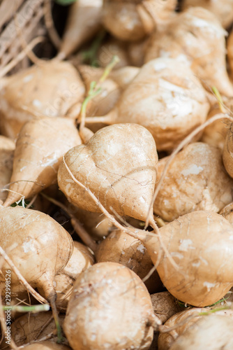 fresh jicama in a crate at local farmers market, tan root vegetables, raw diet, vegetarian, eat local, mexican turnip, spanish jicama, yam bean, many vegetables