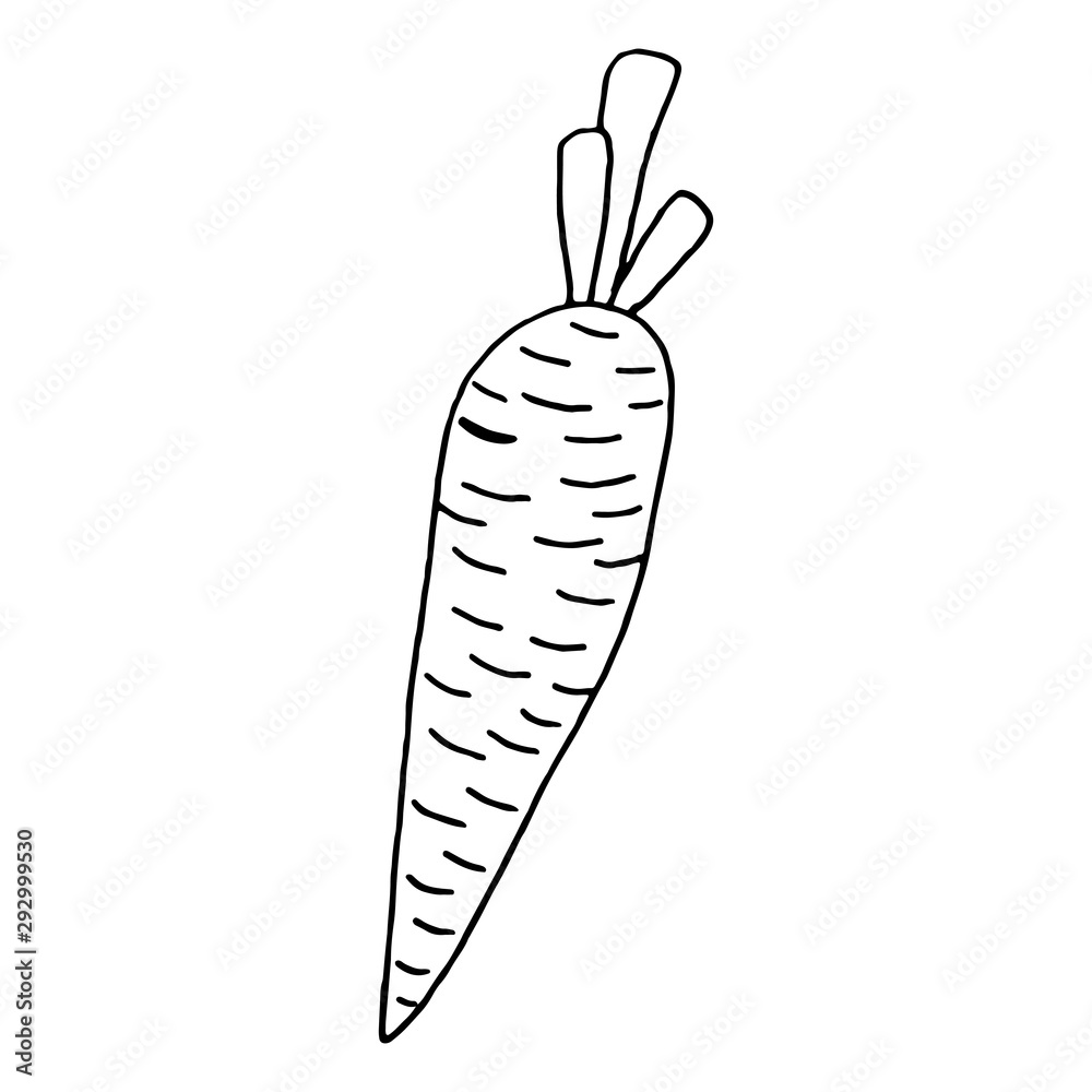 Carrot set black and white.Vegetable lettering and calligraphy phrase for invitation, greeting card, t-shirt, prints, social media, blogs and posters .Vector illustration. Carrot set black and white.Vegetable lettering and calligraphy phrase for invitation, greeting card, t-shirt, prints, social media, blogs and posters .Vector illustration.