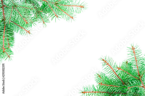 Template Christmas greeting card from beautiful green Christmas tree branches in the corners of the picture with an empty place for text isolated on white background