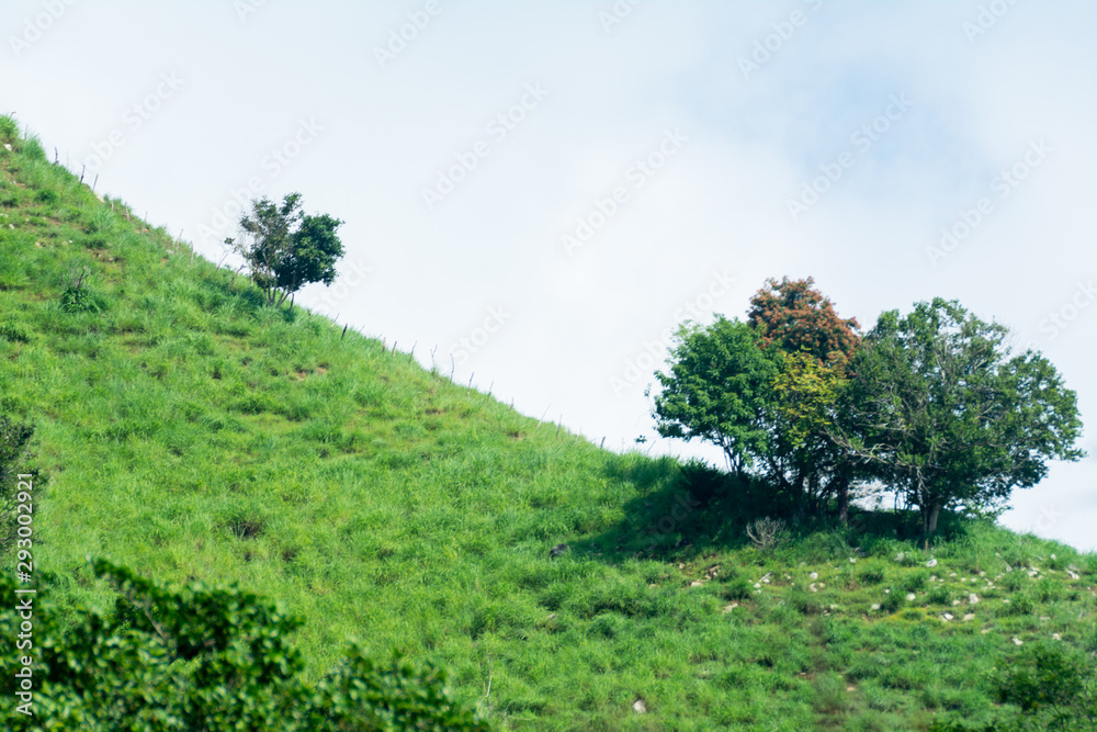 Obraz premium la sidra