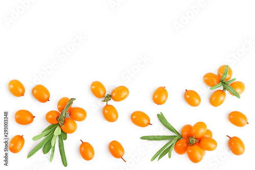 Fototapeta Naklejka Na Ścianę i Meble -  Sea buckthorn. Fresh ripe berry with leaves isolated on white background with copy space for your text. Top view. Flat lay pattern