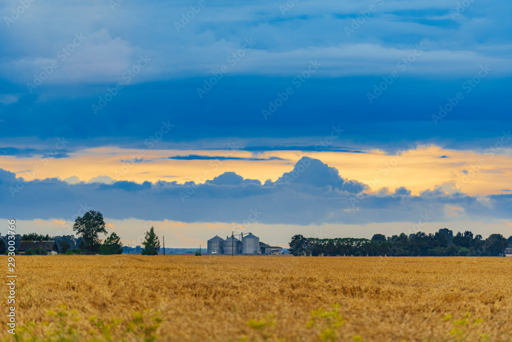 Agriculture field with dramatic storm clouds in background.