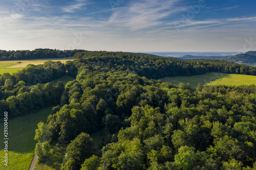 Waldlandschaft - Luftbild © EinBlick