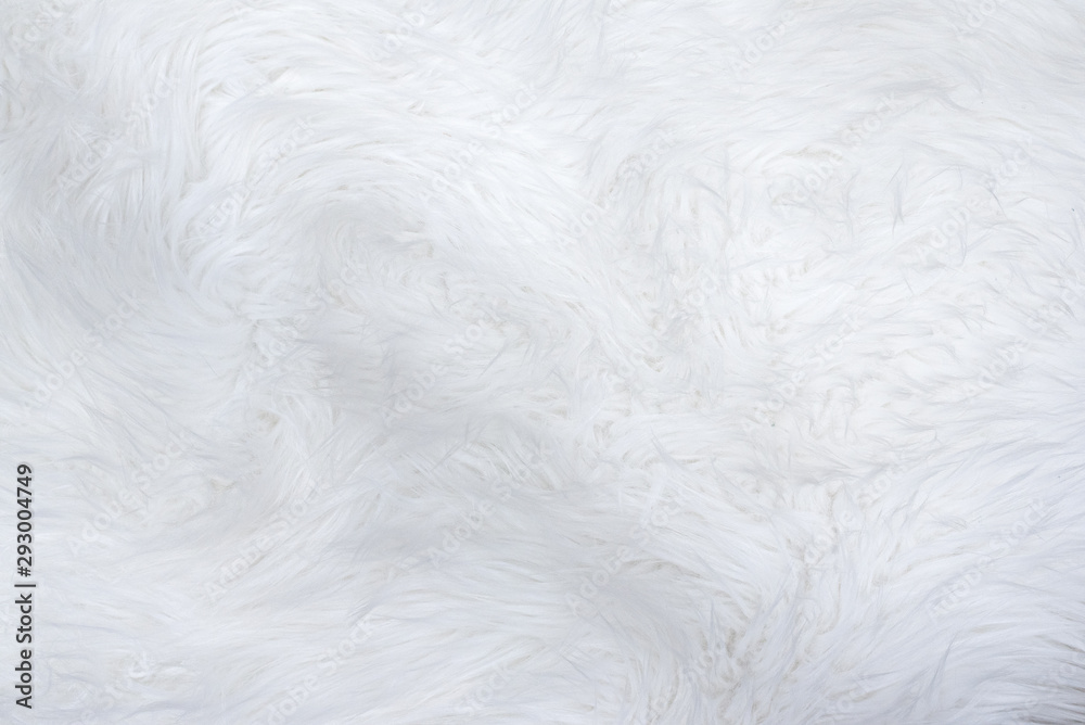 White wool texture flat background. White wool texture flat background.