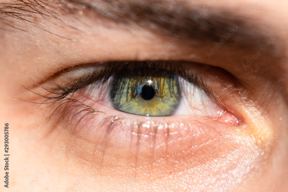 Obraz premium Human eye close-up