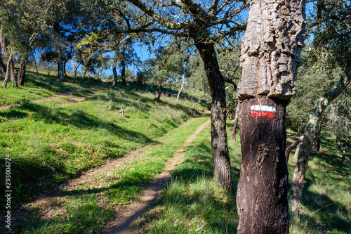 Wegweiser und Wegzeichen am Fernwanderweg „Rota Vicentina“ (Historischer Weg, Fischerweg) im Süden von Portugal 