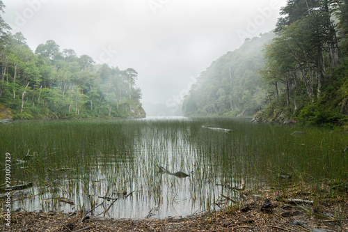 huerquehue lake covered by fog in the forest photo